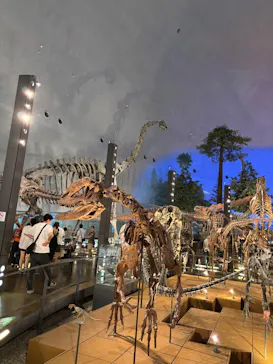 福井県立恐竜博物館に投稿された画像（2026/5/19）