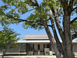 南都大安寺に投稿された画像（2026/5/19）