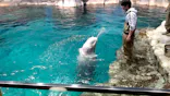 名古屋港水族館に投稿された画像（2026/5/19）
