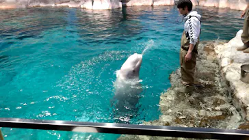 名古屋港水族館に投稿された画像（2026/5/19）