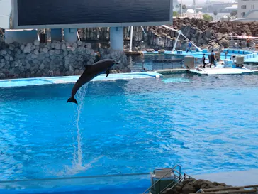 名古屋港水族館に投稿された画像（2026/5/19）