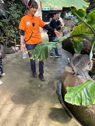那須どうぶつ王国に投稿された画像（2026/5/19）