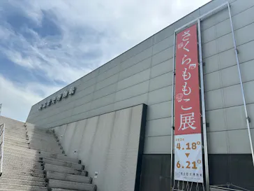 さくらももこ展（東北歴史博物館）に投稿された画像（2026/5/19）