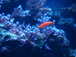 サンシャイン水族館に投稿された画像（2026/5/19）