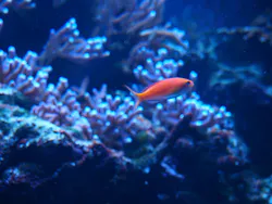 サンシャイン水族館に投稿された画像（2026/5/19）