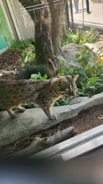名古屋市東山動植物園に投稿された画像（2026/5/19）