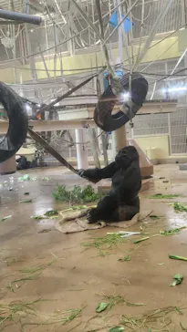 名古屋市東山動植物園に投稿された画像（2026/5/19）