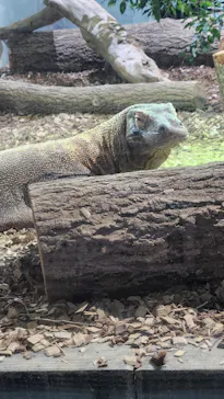 名古屋市東山動植物園に投稿された画像（2026/5/19）