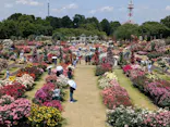 京成バラ園に投稿された画像（2026/5/19）