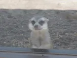宇都宮動物園に投稿された画像（2026/5/19）
