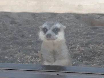 宇都宮動物園に投稿された画像（2026/5/19）