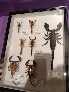特別展「超危険生物展　科学で挑む生き物の本気」に投稿された画像（2026/5/19）
