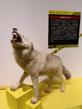 特別展「超危険生物展　科学で挑む生き物の本気」に投稿された画像（2026/5/19）