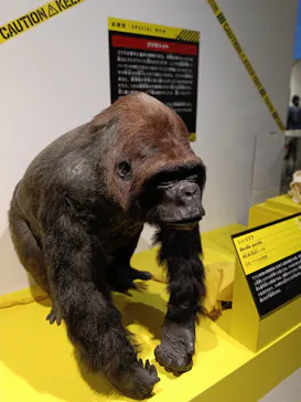 特別展「超危険生物展　科学で挑む生き物の本気」に投稿された画像（2026/5/19）