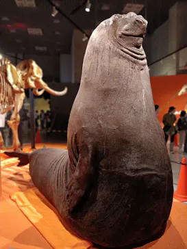 特別展「超危険生物展　科学で挑む生き物の本気」に投稿された画像（2026/5/19）