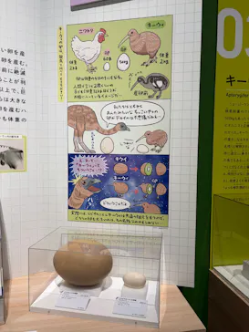 特別展「鳥 ～ゲノム解析が解き明かす新しい鳥類の系統～」に投稿された画像（2026/5/19）