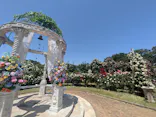 京成バラ園に投稿された画像（2026/5/19）