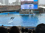 名古屋港水族館に投稿された画像（2026/5/20）