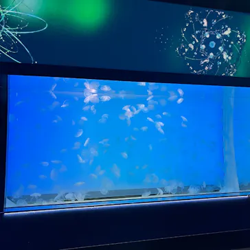 アクアワールド茨城県大洗水族館に投稿された画像（2026/5/19）
