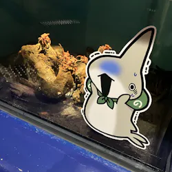 アクアワールド茨城県大洗水族館に投稿された画像（2026/5/19）