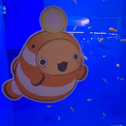 アクアワールド茨城県大洗水族館に投稿された画像（2026/5/19）