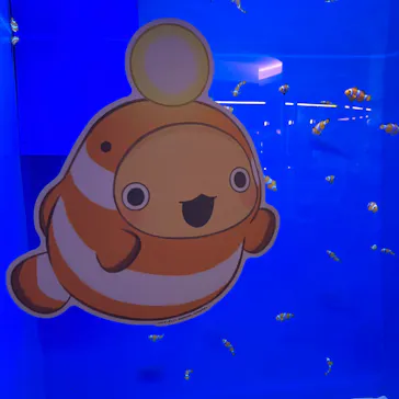 アクアワールド茨城県大洗水族館に投稿された画像（2026/5/19）