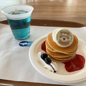 アクアワールド茨城県大洗水族館に投稿された画像（2026/5/19）