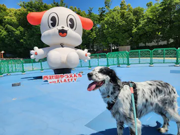 西武園ゆうえんちに投稿された画像（2026/5/19）