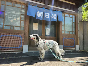 西武園ゆうえんちに投稿された画像（2026/5/19）