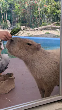 竹島水族館に投稿された画像（2026/5/19）