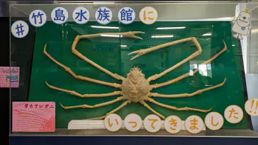 竹島水族館に投稿された画像（2026/5/19）