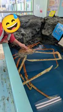 竹島水族館に投稿された画像（2026/5/19）