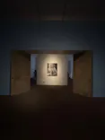 東京都美術館開館100周年記念　アンドリュー・ワイエス展に投稿された画像（2026/5/20）