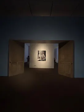 東京都美術館開館100周年記念　アンドリュー・ワイエス展に投稿された画像（2026/5/20）
