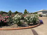 ひらかたパークに投稿された画像（2026/5/20）