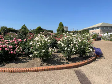 ひらかたパークに投稿された画像（2026/5/20）