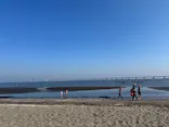 金田みたて海岸潮干狩り場に投稿された画像（2026/5/20）