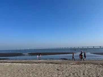 金田みたて海岸潮干狩り場に投稿された画像（2026/5/20）