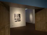 東京都美術館開館100周年記念　アンドリュー・ワイエス展に投稿された画像（2026/5/20）