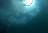 武藤潜水に投稿された画像（2026/5/20）