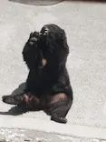 奥飛騨クマ牧場に投稿された画像（2026/5/20）