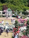 京成バラ園に投稿された画像（2026/5/20）