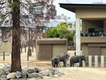 天王寺動物園に投稿された画像（2026/5/20）