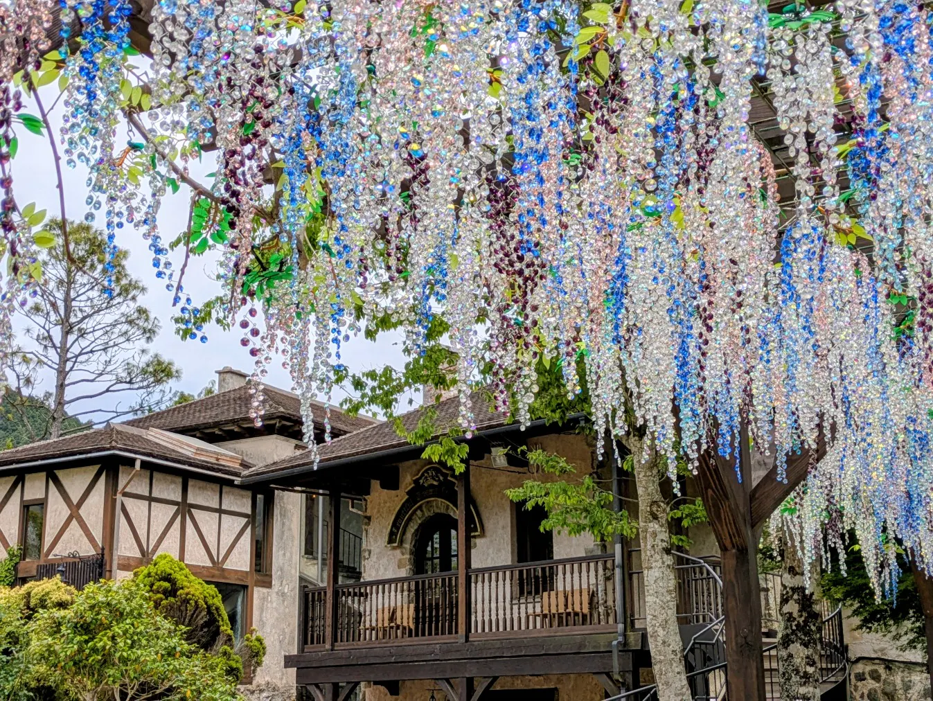 箱根ガラスの森美術館の口コミ ｜藤棚を見立てたガラスや館内のガ
