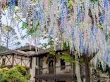 箱根ガラスの森美術館に投稿された画像（2026/5/20）