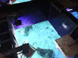 サンシャイン水族館に投稿された画像（2026/5/20）