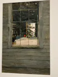 東京都美術館開館100周年記念　アンドリュー・ワイエス展に投稿された画像（2026/5/20）