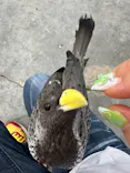 掛川花鳥園に投稿された画像（2026/5/20）
