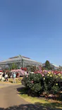京成バラ園に投稿された画像（2026/5/20）