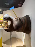 特別展「超危険生物展　科学で挑む生き物の本気」に投稿された画像（2026/5/20）